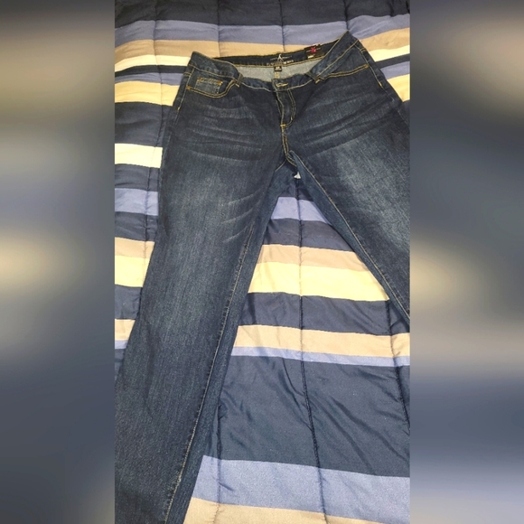 Ashley Stewart Flawless Skinny Stretch Jeans Blue Plus Size 16R  NWT - Picture 1 of 7
